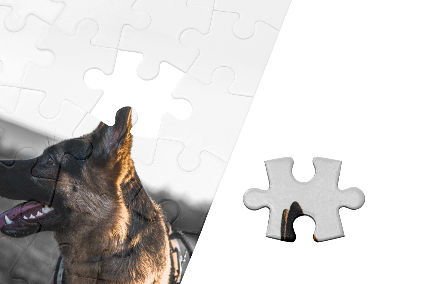 Puzzle