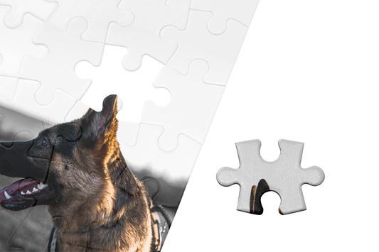 Puzzle